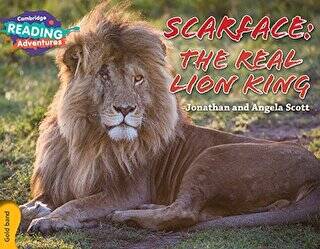 Scarface: The Real Lion King - 1