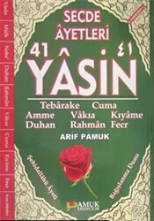 Secde Ayetleri 41 YasinYasin-251 - 1