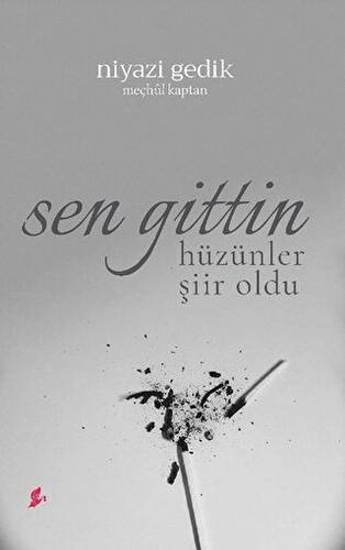 Sen Gittin Hüzünler Şiir oldu - 1