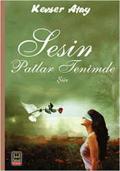 Sesin Patlar Tenimde - 1