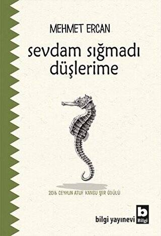 Sevdam Sığmadı Düşlerime - 1