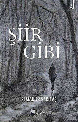 Şiir Gibi - 1