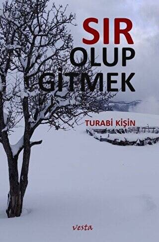 Sır Olup Gitmek - 1