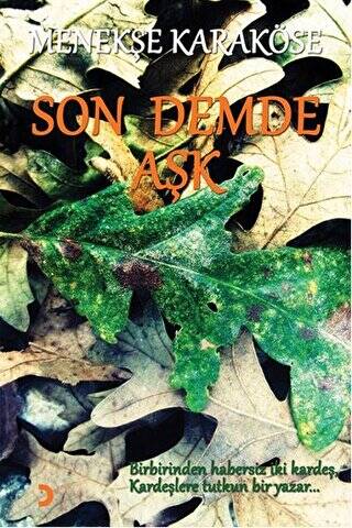 Son Demde Aşk - 1