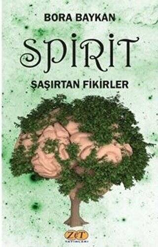 Spirit Şaşırtan Fikirler - 1