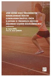 Spor Eğitimi Veren Yükseköğretim Kurumlarindaki Öğretim Elemanlarinin Örgütsel Sinizm, İş Doyumu ve Tükenmişlik Düzeyleri Arasindaki İlişkinin Değerlendirilmesi - 1