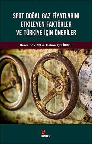 Spot Doğal Gaz Fiyatlarını Etkileyen Faktörler ve Türkiye İçin Öneriler - 1