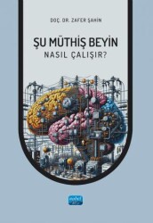 Şu Müthiş Beyin - Nasıl Çalışır? - 1