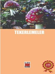 Tekerlemeler - 1