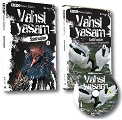 Vahşi Yaşam 2 - Sahil Kuşları - 1