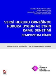 Vergi Hukuku Örneğinde Hukuka Uygun ve Etkin Kamu Denetimi - 1