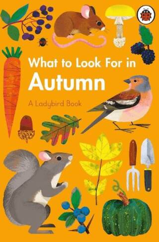 What to Look For in Autumn - 1