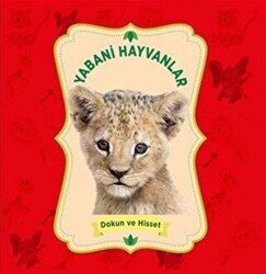 Yabani Hayvanlar - Dokun ve Hisset - 1