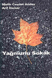 Yağmurlu Sokak - 1