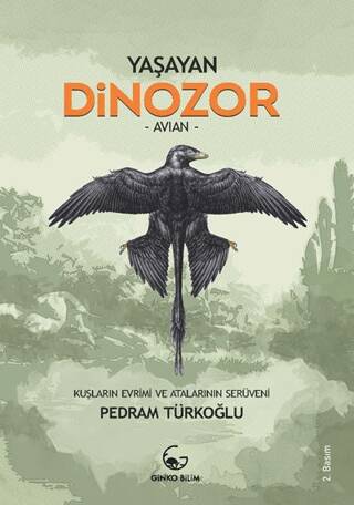 Yaşayan Dinozor - Avian - 1