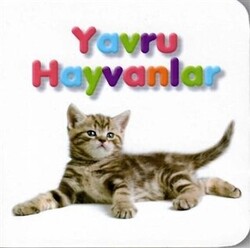 Yavru Hayvanlar - 1