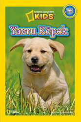 Yavru Köpek - 1