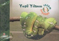 Yeşil Yılanın Yaşam Döngüsü - 1