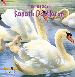 Yumuşacık Kanatlı Dostlarım - 1