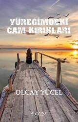 Yüreğimdeki Cam Kırıkları - 1